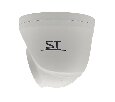 SpaceTechnology ST-197 IP HOME IP камера