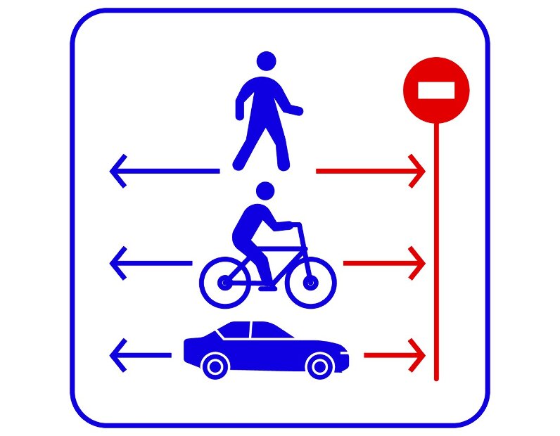 TRASSIR Direction Detector Модуль и ПО TRASSIR
