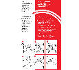 N-568 Инструмент для обжима (кримпер) 8p8c(RJ-45), 6p6c(RJ-12), 6p4c(RJ-11), 6p2c,  Optima Netko N-568