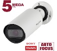 IP камера Beward NK55125H3