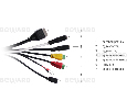 купольная IP камера Beward B91455-5H