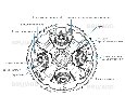 IP камера  Beward SV3218P4Z