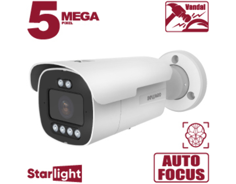 IP камера  Beward SV3219RZN